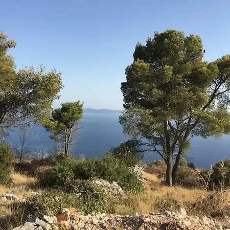 Haus Grace Appartement